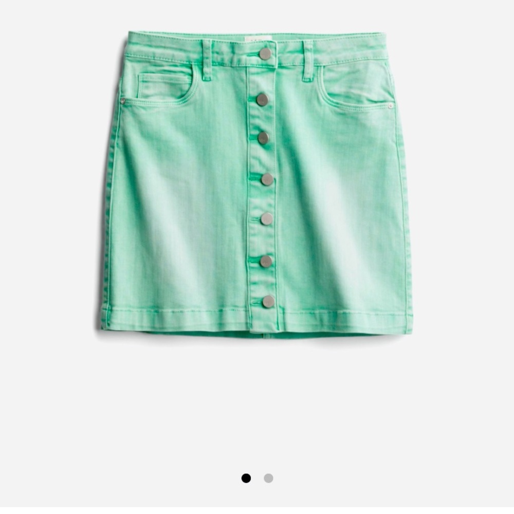 Wash Lab Harvest Button Front Skirt
